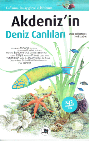 Akdeniz'in Deniz Canlilari