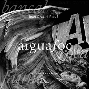 Aiguafoc